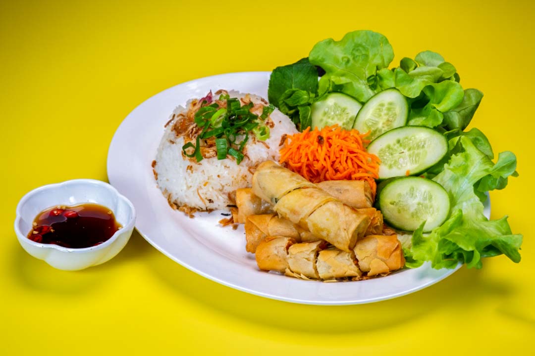 Vegetarian spring rolls rice plate